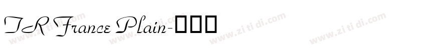 TR France Plain字体转换
